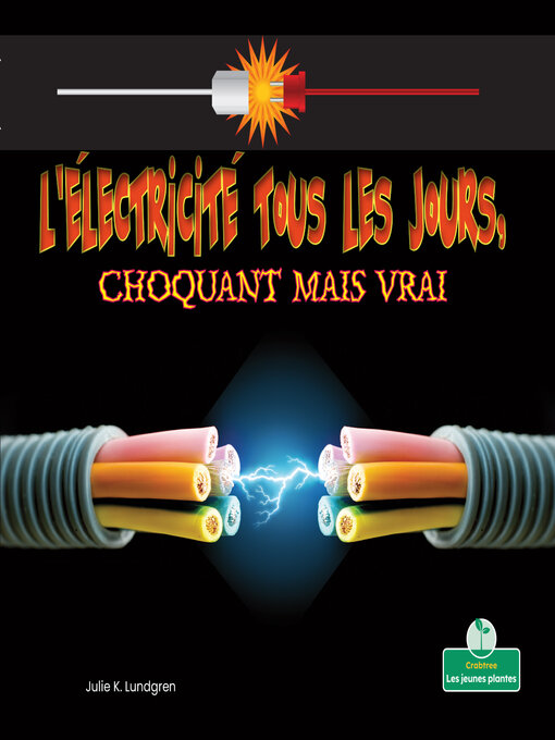 Title details for L'électricité tous les jours, choquant mais vrai (Everyday Electricity, Shocking But True) by Julie K. Lundgren - Available